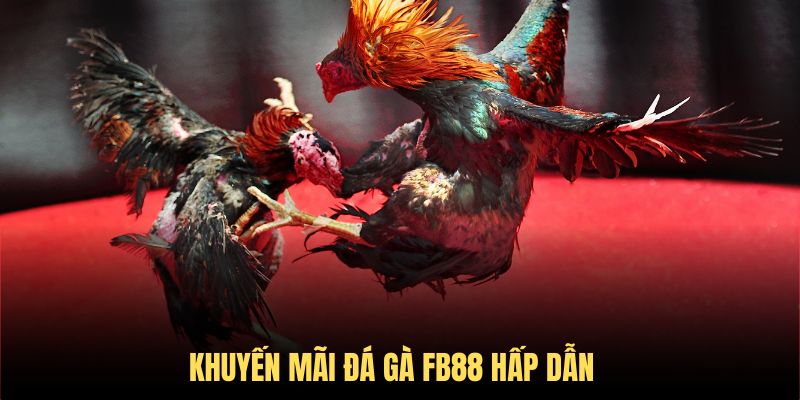 Sảnh chọi kê fb88 sở hữu vô số ưu điểm hấp dẫn