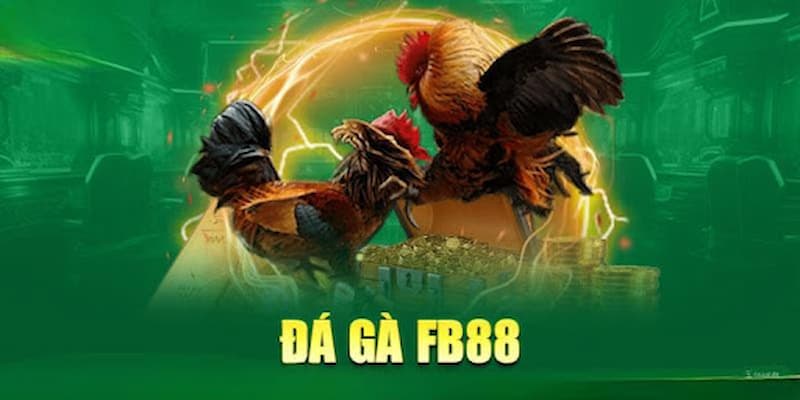 Mẹo chơi đá gà fb88 tuyệt đỉnh mà bet thủ không nên bỏ qua
