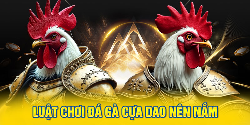Luật chơi đá gà cựa dao nên nắm
