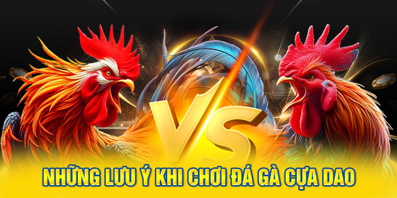 Những lưu ý khi chơi đá gà cựa dao